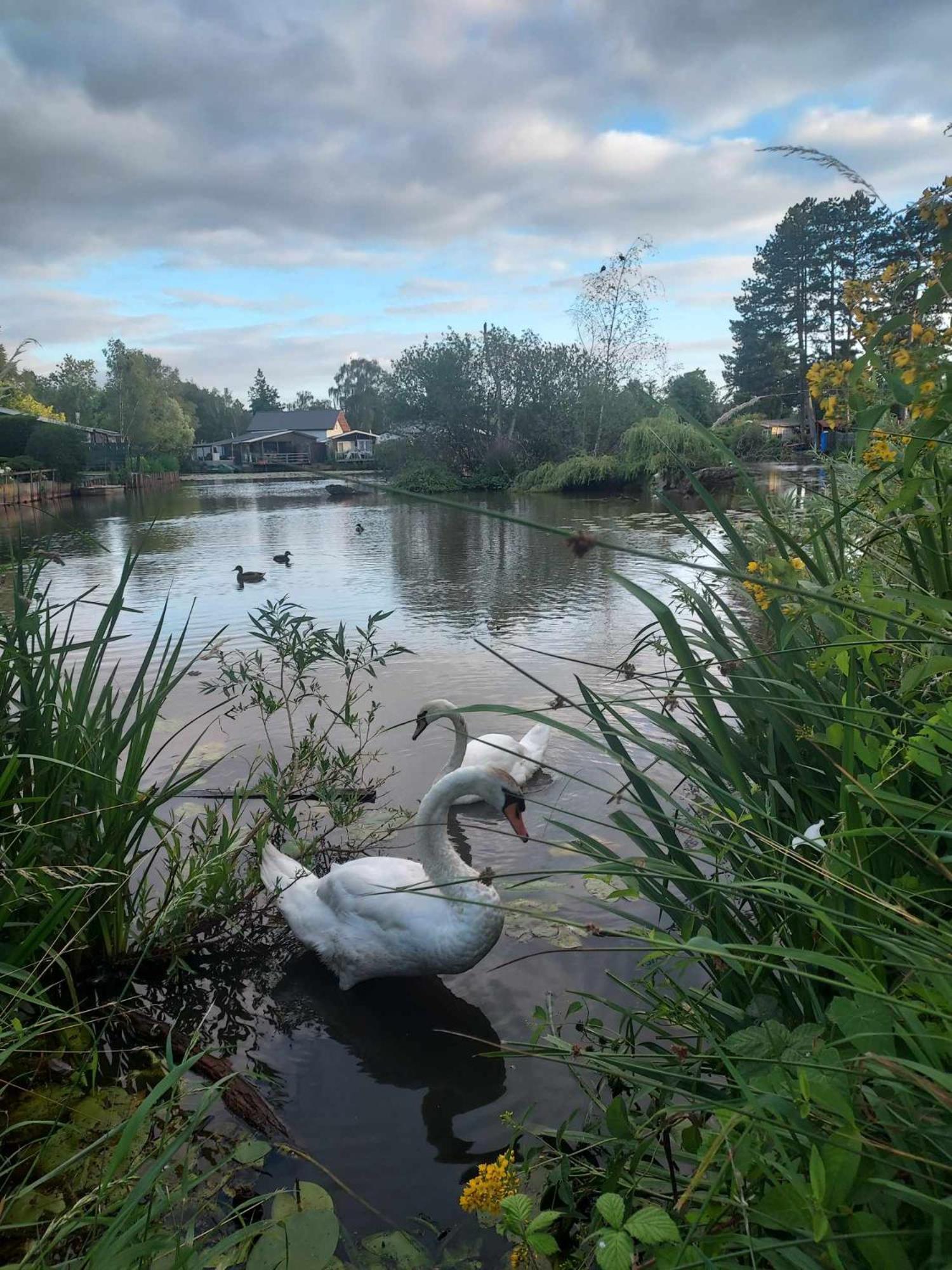 Rustig Gelegen Chalet Kapeki Met Tuin Aan Het Water Vila Geel Exterior foto