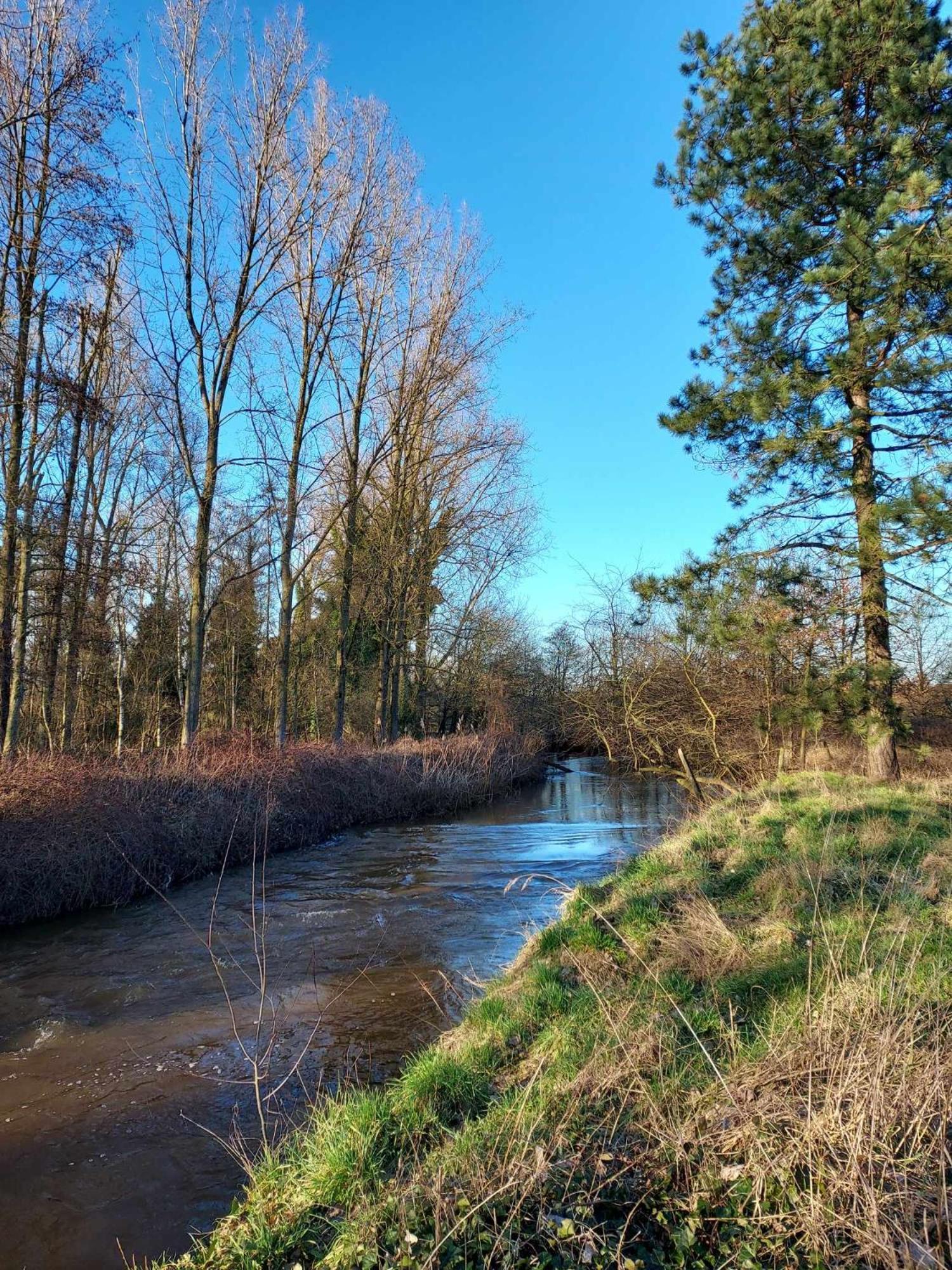 Rustig Gelegen Chalet Kapeki Met Tuin Aan Het Water Vila Geel Exterior foto